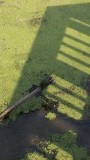 Een mooie wandeling gemaakt in de natuur