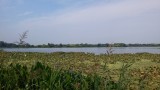 Mooi stukje natuur hier