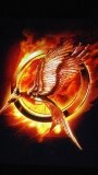 Mockingjay