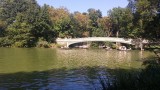 Central Park