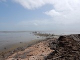 de zee