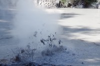 Mudpools nabij Rotorua