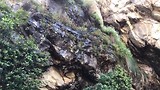 Dag 11: Hermanus