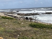 E0975066-F455-43AC-94BE-A0357D1CE28D