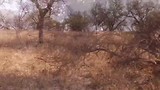 Dag 19: Swaziland