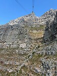 IMG_3956