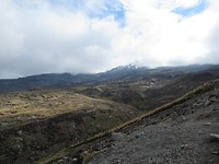 IMG_4459