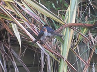 IMG_4566