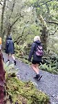 VID_20230202_110743