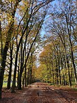 IMG_20231112_145553