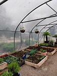IMG_20240509_193316