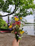 IMG_20240509_194524