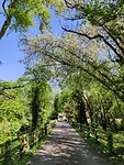 IMG_20240510_154218
