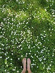 IMG_20240519_163704