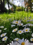 IMG_20240519_163749