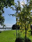 IMG_20240519_164456