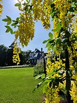 IMG_20240519_164536