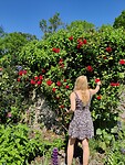 IMG_20240520_120508