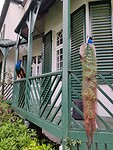 IMG_20240521_180419