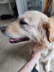 IMG_20240524_135017