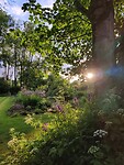 IMG_20240529_205116