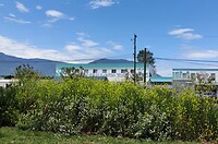 IMG_20240622_184622