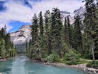 IMG_20240625_124938