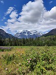IMG_20240625_164042