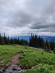 IMG_20240630_140424