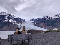 IMG_20240703_154659