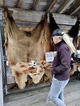 IMG_20240703_164942
