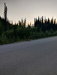 IMG_20240704_222618