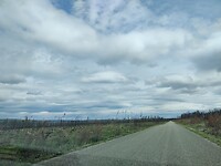 IMG_20240705_111928