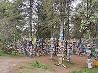 IMG_20240705_131707