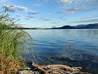 IMG_20240705_213322