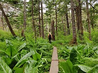IMG_20240709_155249