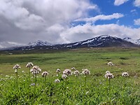 IMG_20240711_120115