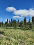 IMG_20240712_132638