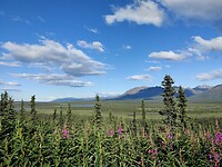 IMG_20240714_202644