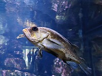 IMG_20240718_140008