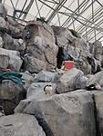 IMG_20240718_140800