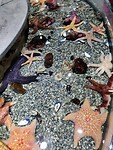 IMG_20240718_143109