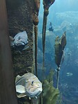 IMG_20240718_145710