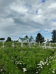 IMG_20240721_110558