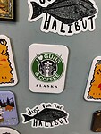 IMG_20240721_124653