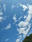 IMG_20240721_152537