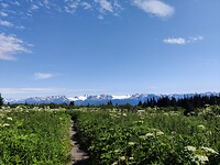 IMG_20240721_160434