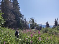 IMG_20240724_152431