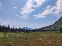 IMG_20240724_140228