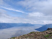IMG_20240725_151939